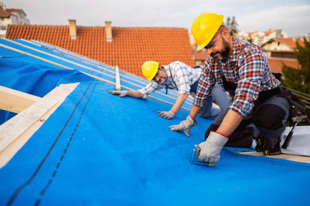 Best Storm Damage Roof Repair  in La Habra, CA